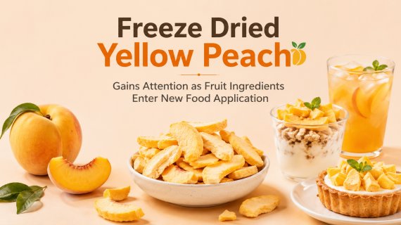 Freeze Dried Yellow Peach Gains Attention as Fruit Ingredients Enter New Food Applications