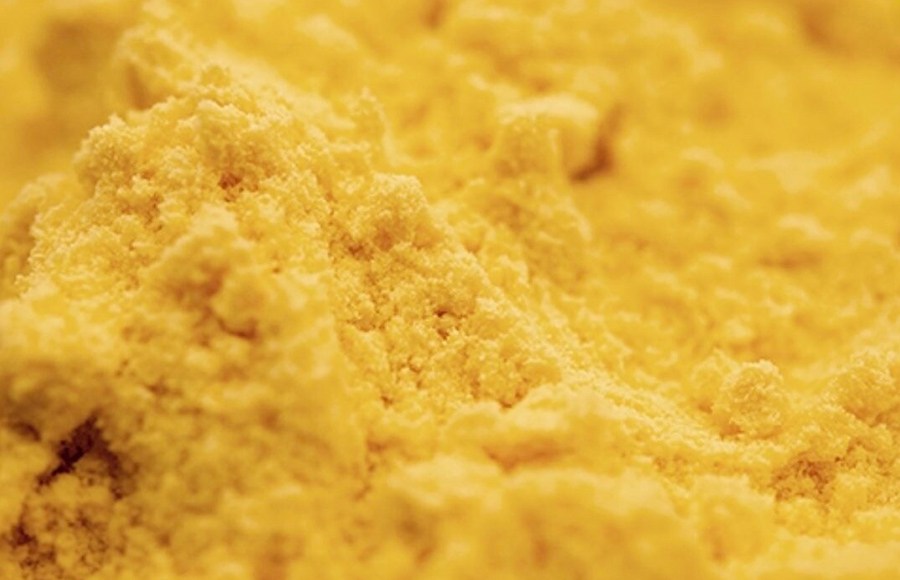 OEM Private Label  Wholesale Bulk FD food corn