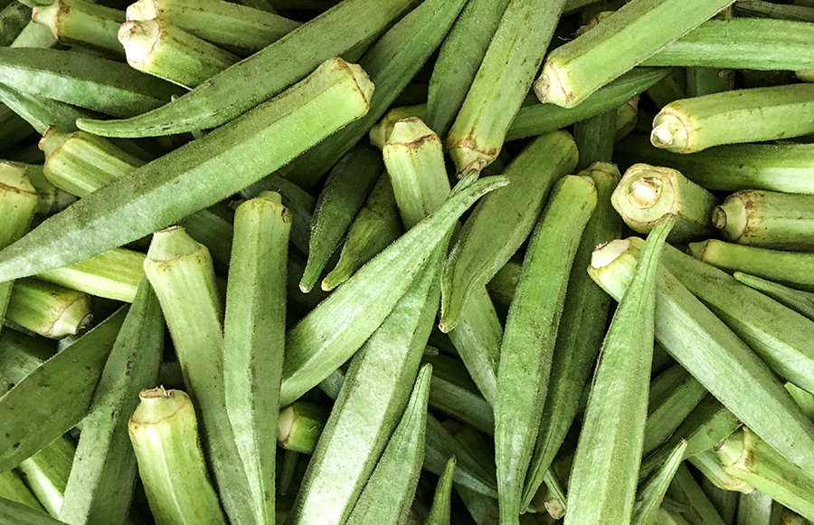 cheapest price FD okra vegetables produced by factory