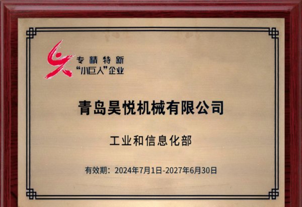 National Specialized, Refined and Innovative Little Giant