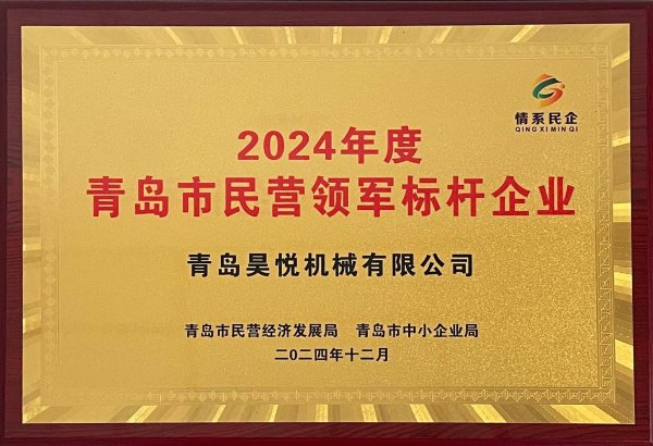 Leading private enterprises in Qingdao