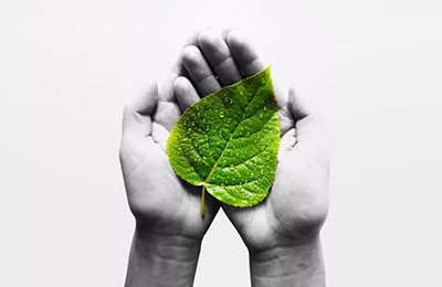 The State Environmental Protection Department Highly Appraised Our Environmental Protection Work.