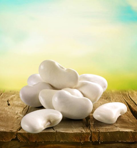 WHITE KIDNEY BEAN