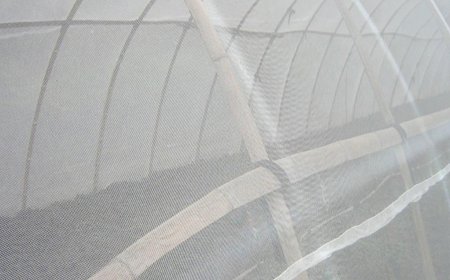 Anti-insect Net
