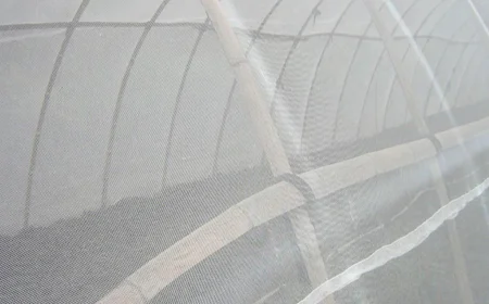 Anti-insect Net