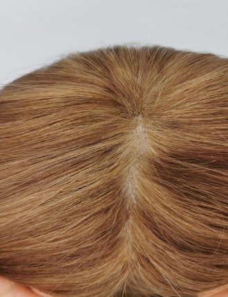 Human Hair Women Wig