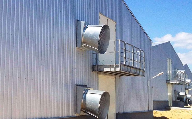 Steel Frame Poultry Housing Chicken House