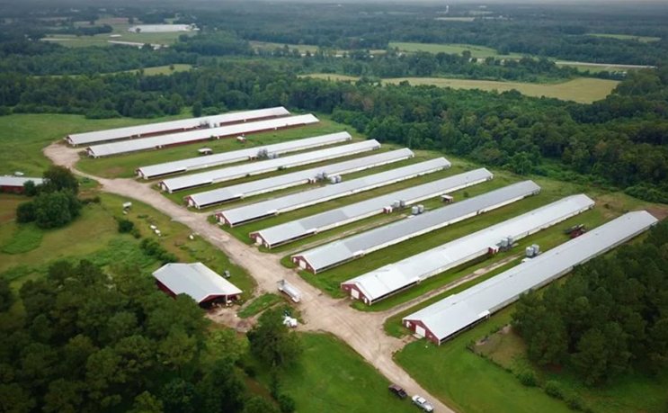 Durable Steel Storage Poultry House