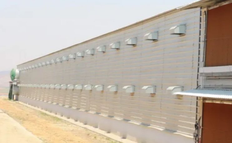 High Rise Large Metal Chicken Coop