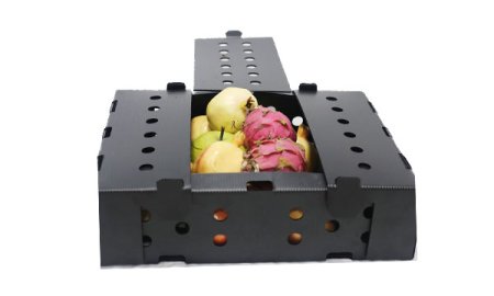 波形プラスチック野菜・果物箱