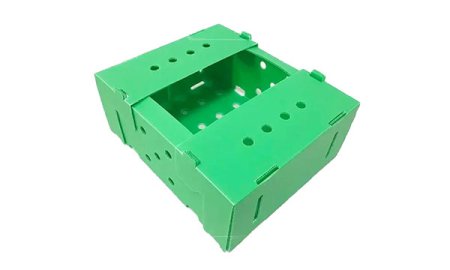 PP中空シートクレックスブロッコリーキャベツ梱包箱