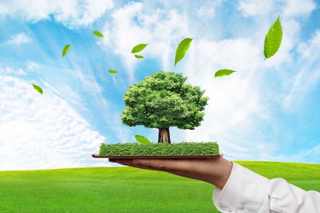 The Rise of Paper Packaging: Why Eco-Friendly Brands Are Choosing Paper Products