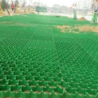 Plastic grass grid