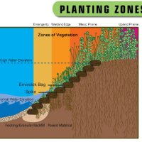 planting-zones