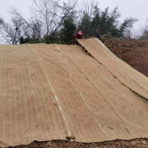 Coconut Silk Blanket (carpet)