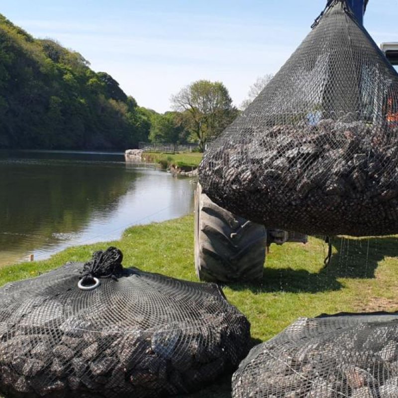 stabilising-river-banks-from-erosion-with-aquarockbag--case-study-1690X831