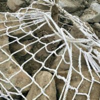 _20260116095221_16_313