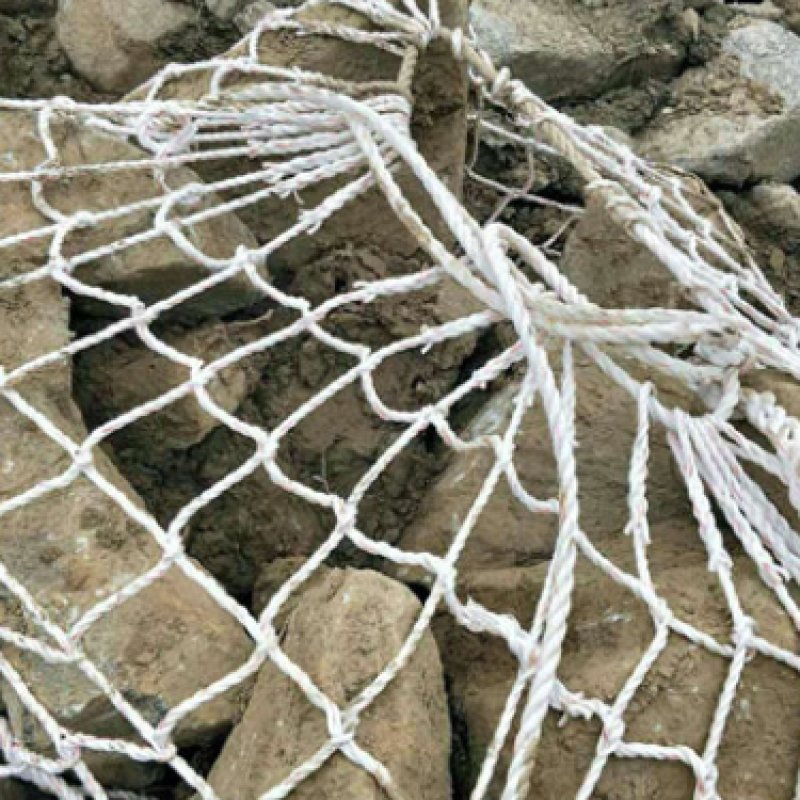 _20260116095221_16_313