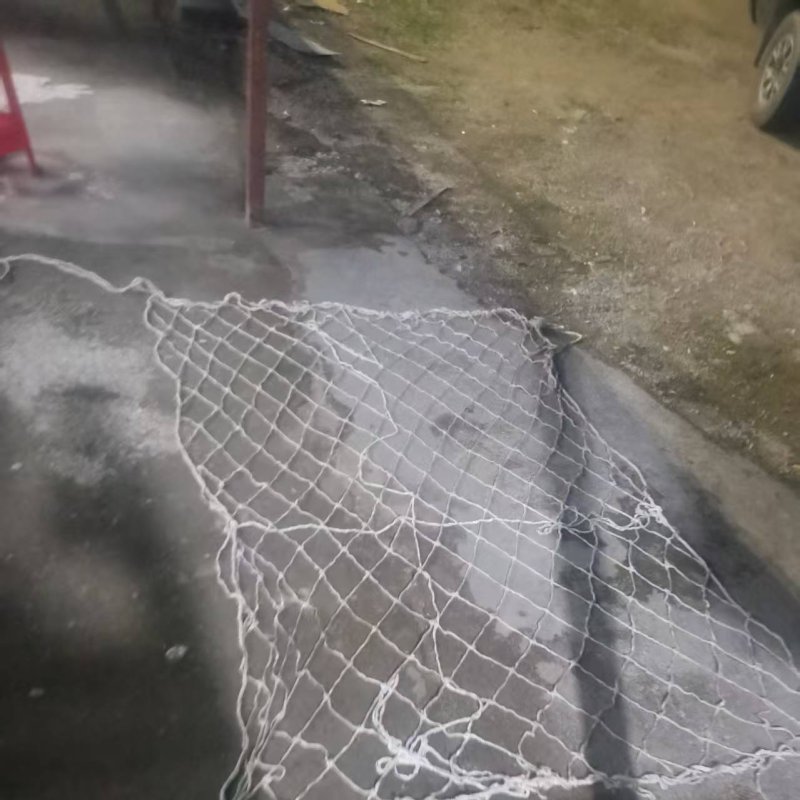 _20260116094613_11_313