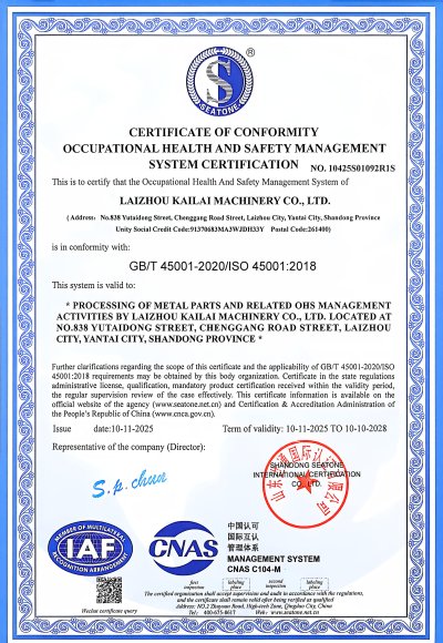 Cupational Health Certificate English Version