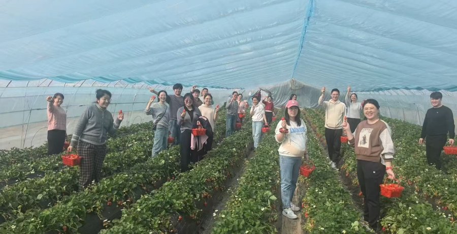 Qingdao Zhongding Machinery's International Trade Team Picks Strawberries in Team-Building Event
