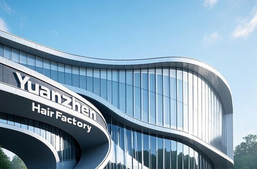 What's Our Business Plan About Our Hair Extension Business?