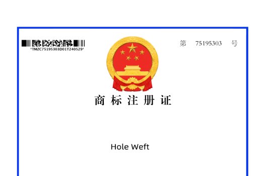 Butterfly Weft Hair Extensions: Redefining Excellence with Patented Innovation