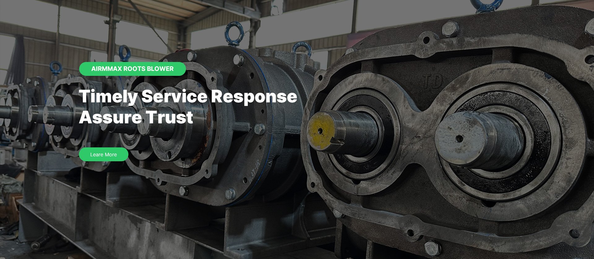 máy thổi khí roots blower